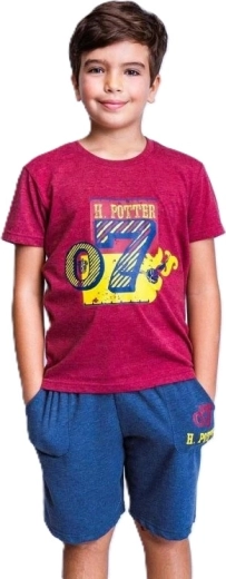 Harry Potter T-shirt and Shorts Set