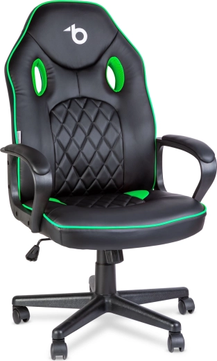 Gaming Chair with Backrest Black/Green
