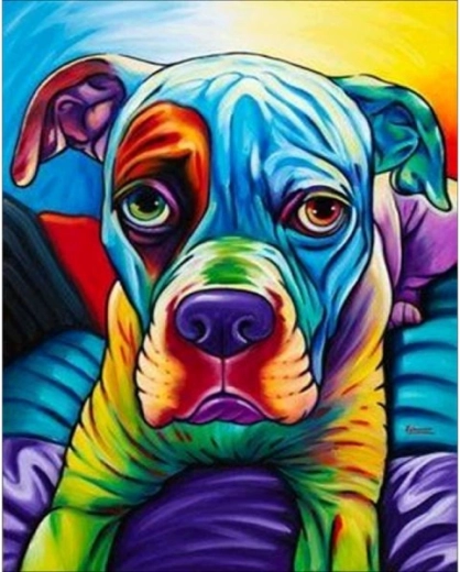 Slika za bojanje prema brojevima na okviru 40 × 50 cm buldog – šareni pas