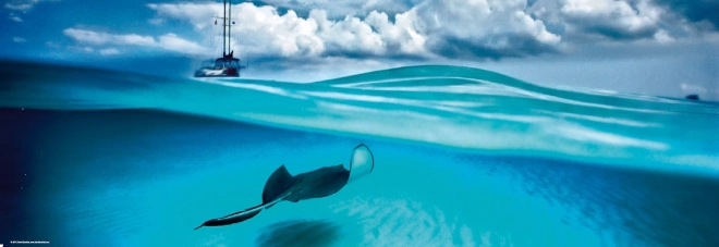 Panoramske puzzle Raža - Kajmanski otoci 1000 dijelova