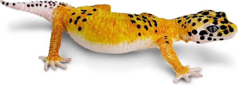 Safari Ltd. nocturnal gecko figurine