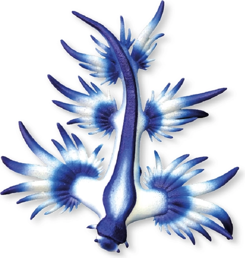 Bullyland plavi morski puž figurica