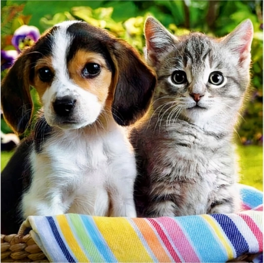 Diamond mosaic (diamond painting) Puppy with kitten 30 × 30 cm