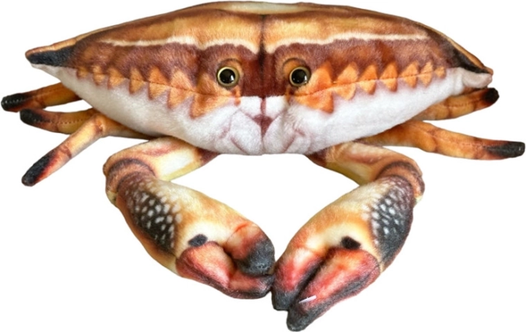 Plush Crab 31 cm