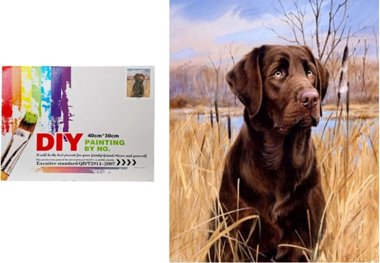 Slikanje po brojevima – pas u tršćaku