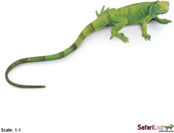 Safari Ltd. mlado zelene iguane - 1 komad
