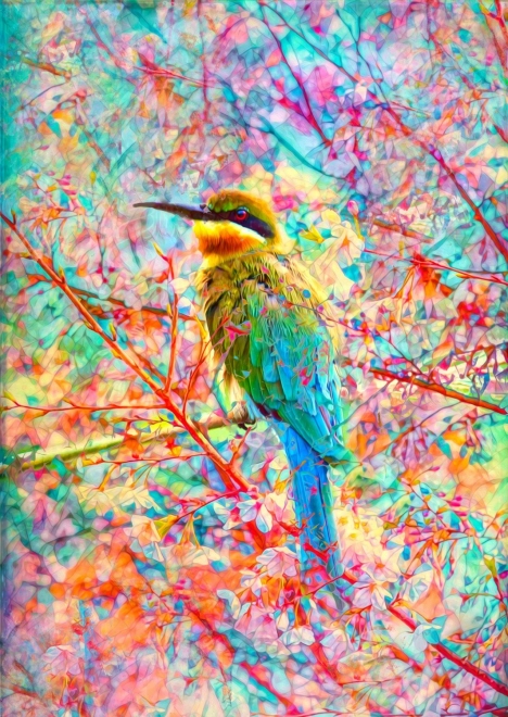 Puzzle Sretna ptičica 1000 dijelova