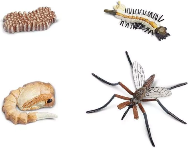 Safari Ltd. Mosquito Life Cycle