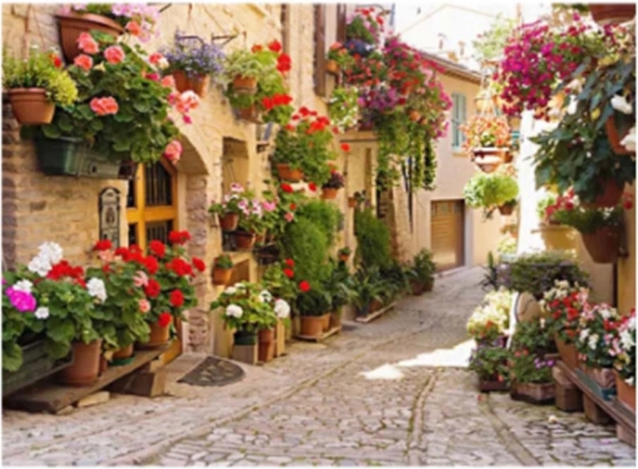 Norimpex diamond painting Italian street with flowers 30 × 40 cm
