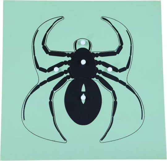 Montessori spider puzzle