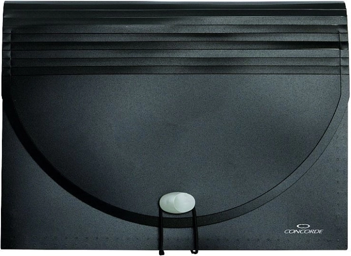 Organizator za dokumente s gumicom, 25 pretinaca