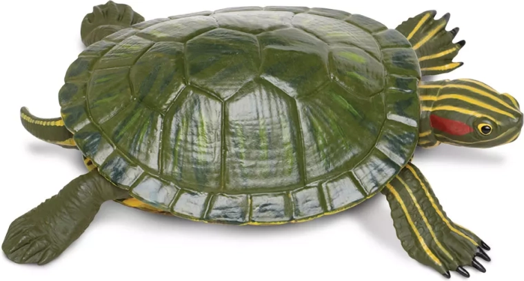 Red-eared slider turtle figurine Safari Ltd. - 1 piece