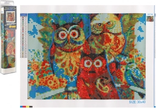 Dijamantno slikanje Sove 30x40 cm