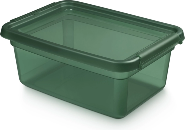 Basestore plastična kutija za pohranu s poklopcem i kopčama PINE 12,5 l