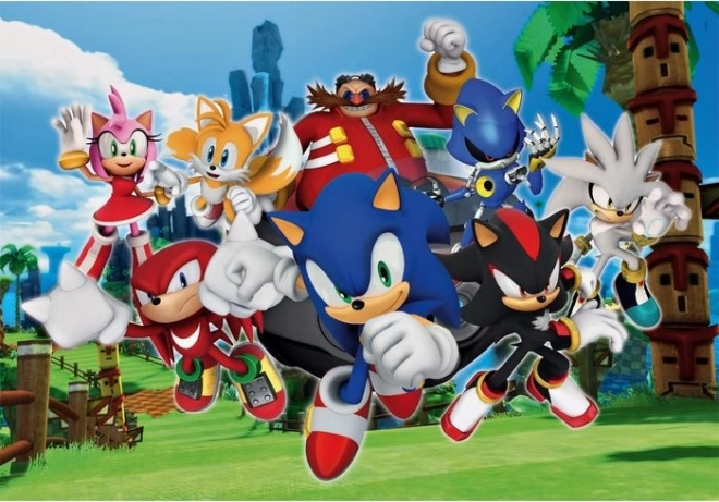 Puzzle Sonic 104 dijelova