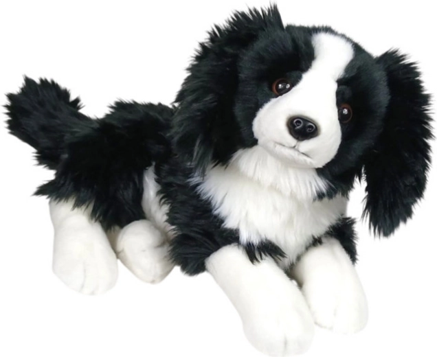 Plišani pas border collie ležeći 30 cm