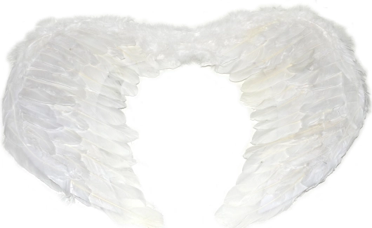 Velika anđeoska krila