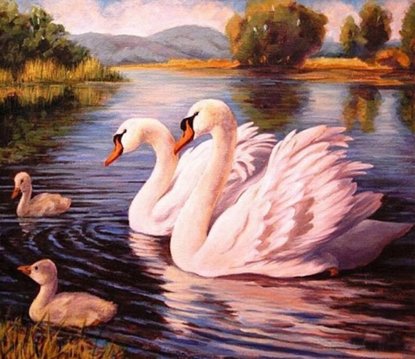 Norimpex Paint by Numbers Swans 40 × 50 cm