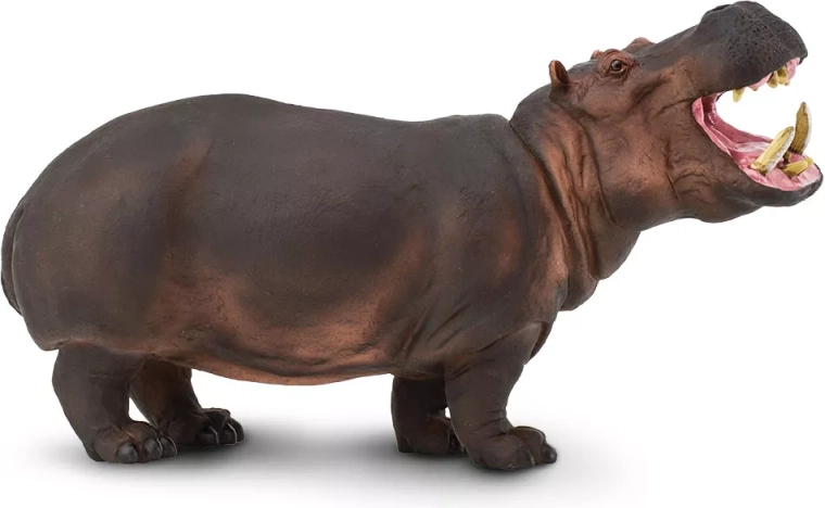 Safari Ltd. hippo – realistic figurine - 1 piece