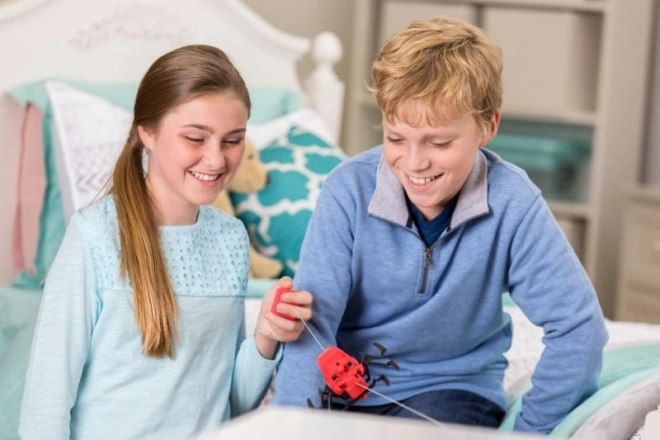 4M Pauk Robot za Djecu