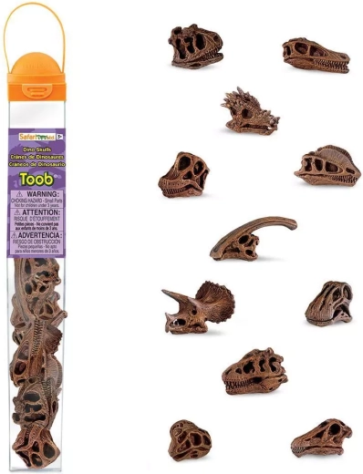 Safari Ltd. TOOBS tube – dinosaur skulls