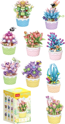 Florist succulents in decorative flower pots (9 types) - 1 piece