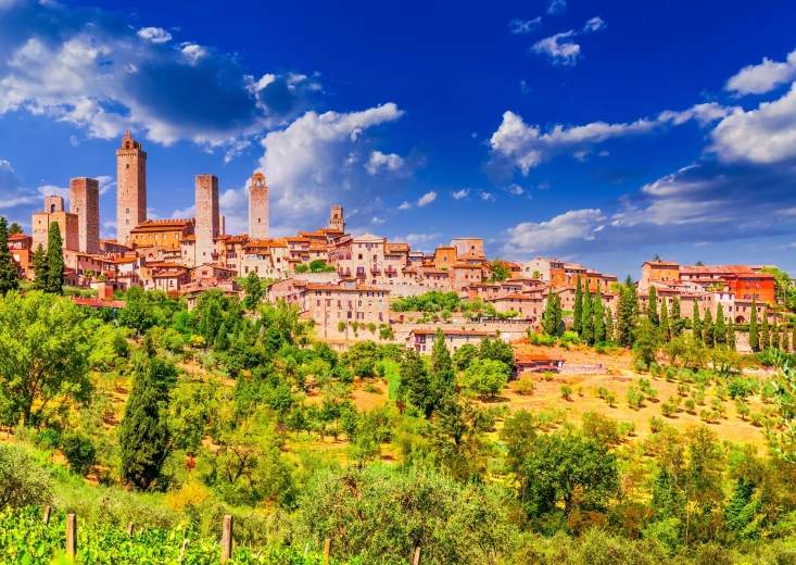 Enjoy puzzle San Gimignano, Italija 1000 dijelova