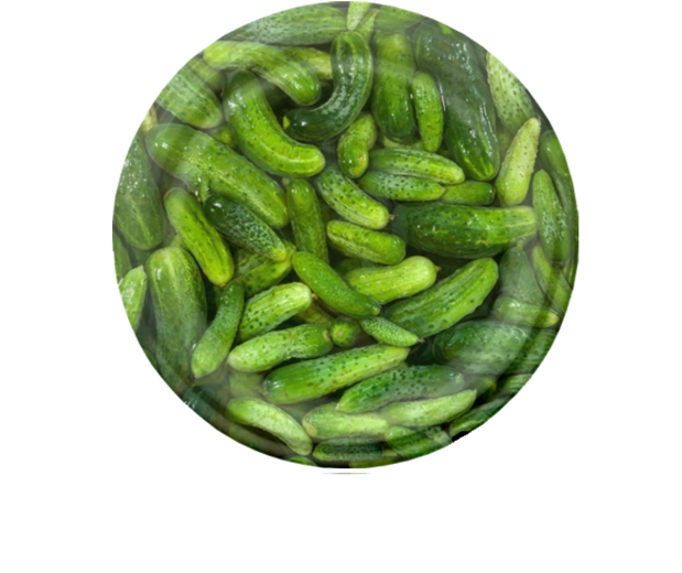 Set poklopaca za zimnicu 82 mm s motivom krastavaca, 6 zubaca, 10 kom