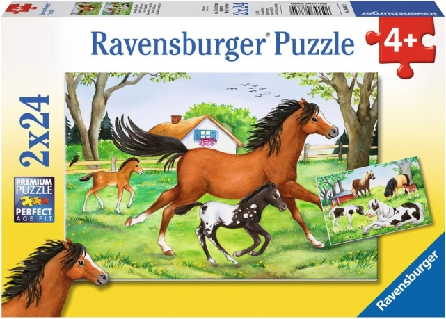 RAVENSBURGER puzzle svijet konja 2×24 dijelova