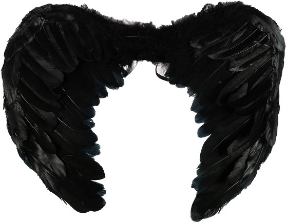 Black Halloween Wings