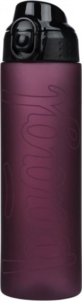 Baagl tritanova boca za piće Ruby 700 ml