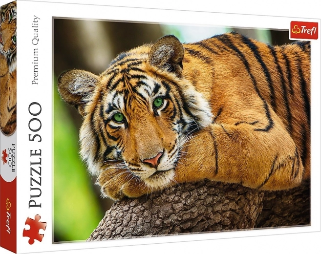 Puzzle Portret tigra 500 dijelova