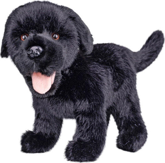 Plišani labrador crni 23 cm - 1 komad