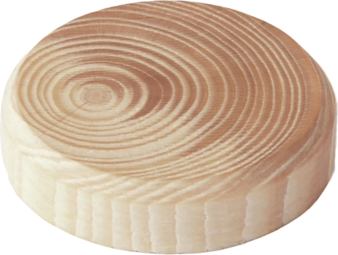 Drvni čepovi s godovima 15 × 7 mm, 40 kom