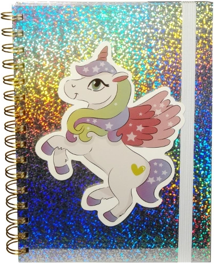 Holographic Diary with Unicorn and Elastic Band