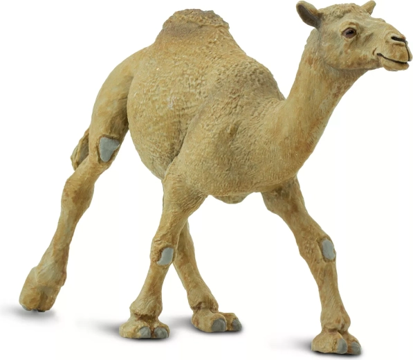 Safari Ltd. figura jednogrbog deve – 1 komad