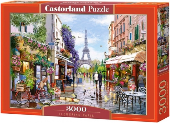 Puzzle od 3000 dijelova - Cvatući Pariz