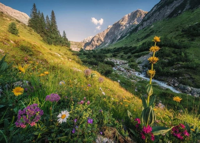 Puzzle Čarobna obala 1000 dijelova