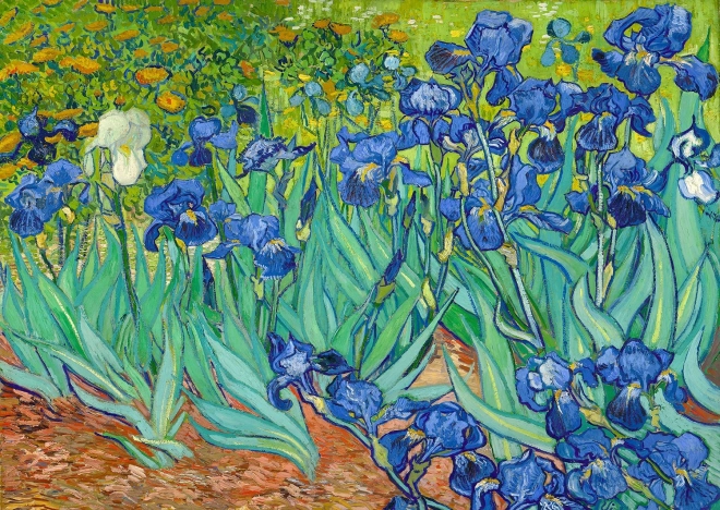 Uživajte u Slagalici Vincent Van Gogh: Perunike 1000 komada