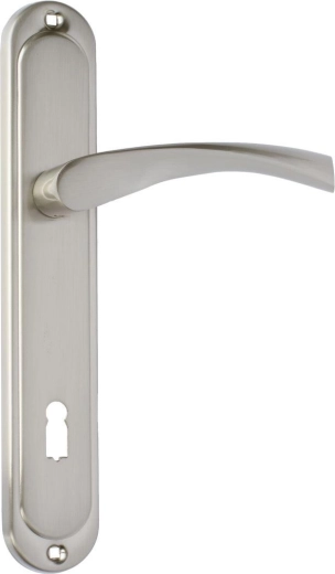 Vrata okov ATENA s cilindričnom uloškom 90 mm, mat nikal