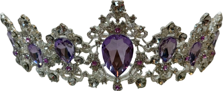 Princess Aurora Headband