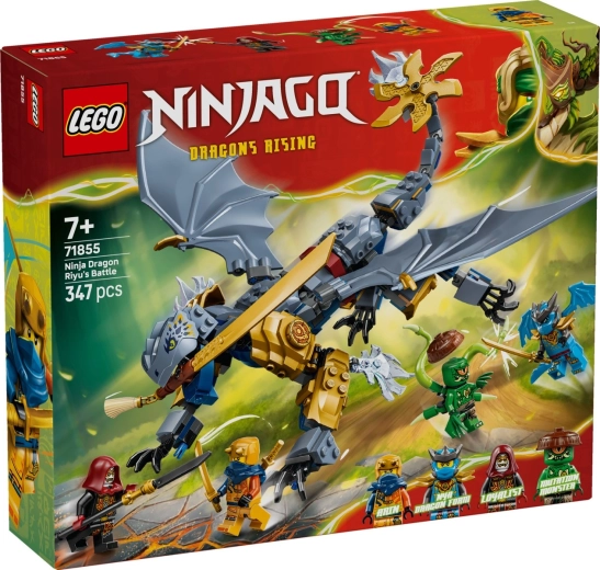 LEGO NINJAGO Riyu's Dragon Battle