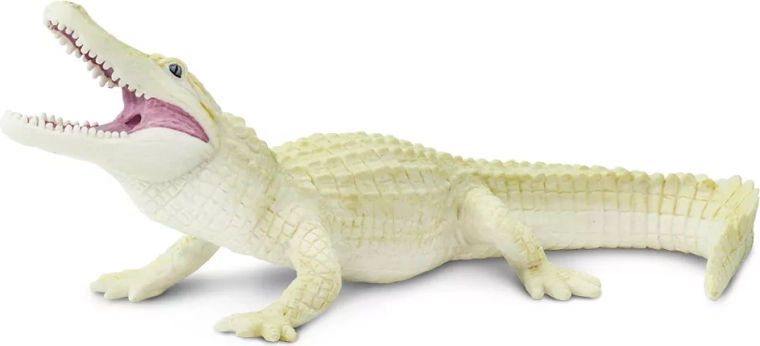 Albino Crocodile Safari Ltd. - 1 piece