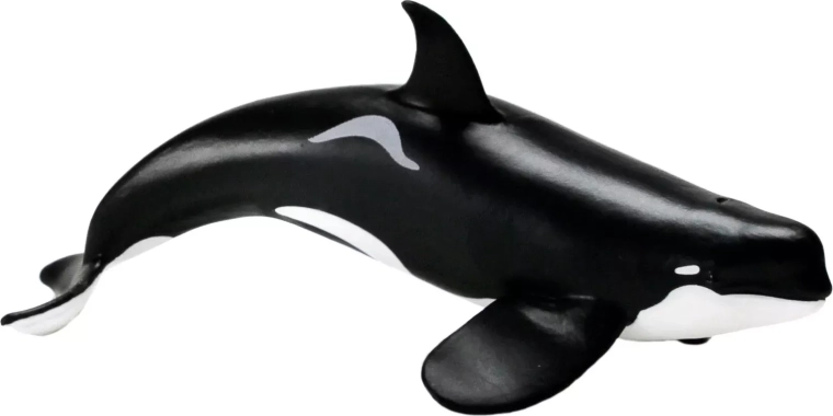 Safari Ltd. killer whale (orca) figurine (Type D)