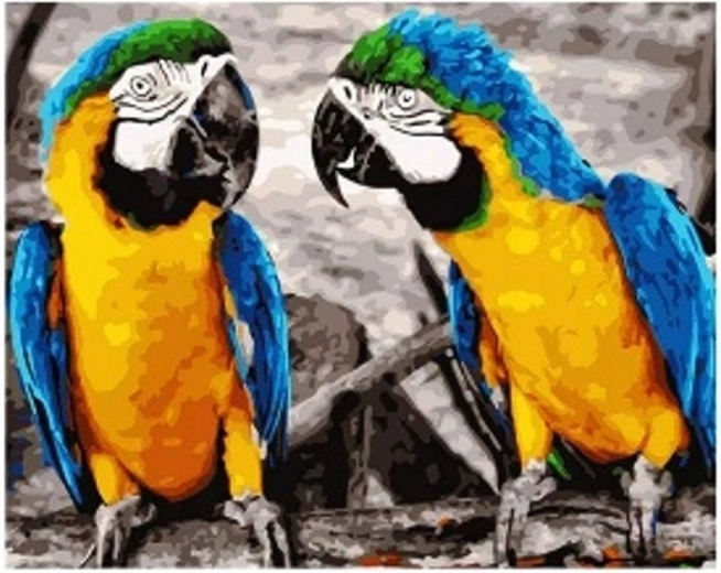 Dijamantno slikanje Papige 30 × 40 cm