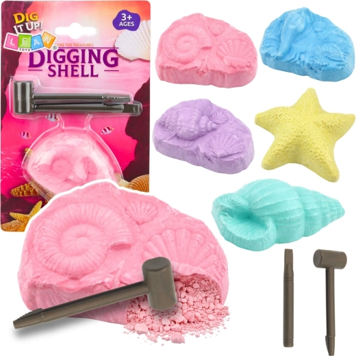 Arheološki set morskih fosila – iskopavački set s školjkama i alatima