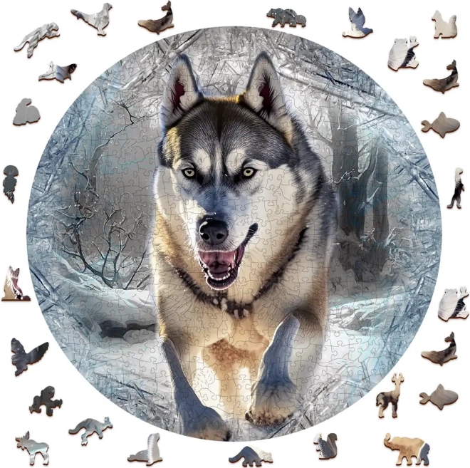 Drvene puzzle Trčeći Vuk 505 komada od Wooden City