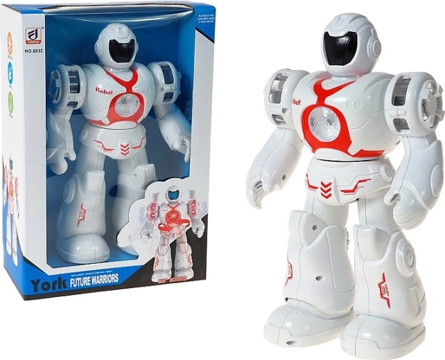 Robot