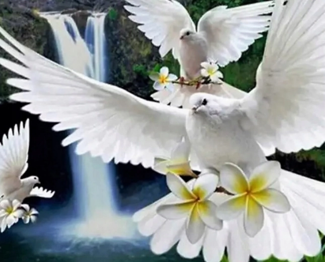 Dijamantno slikanje Bijele golubice 30 × 40 cm