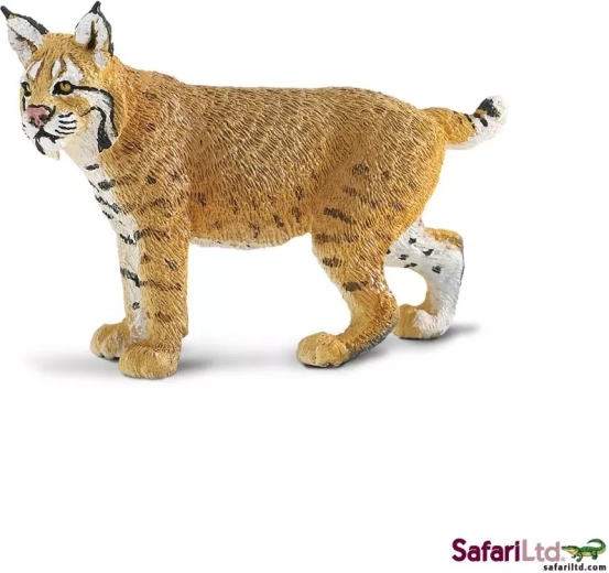 Safari Ltd. ris